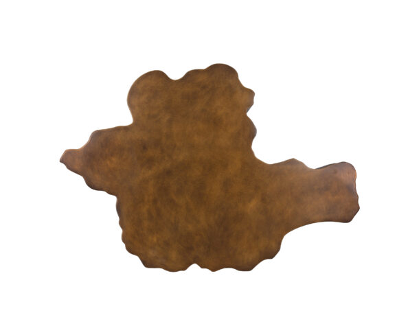 Lynx Coffee Table - Image 4
